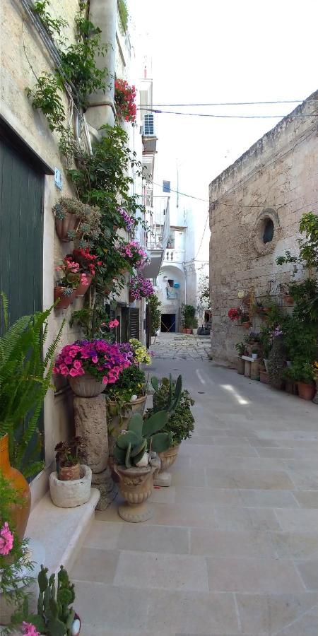 My Monopoli- Casa Dei Fiori "Orchidea" Centro Storico Hotel Exterior foto